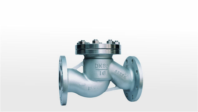 Check valve
